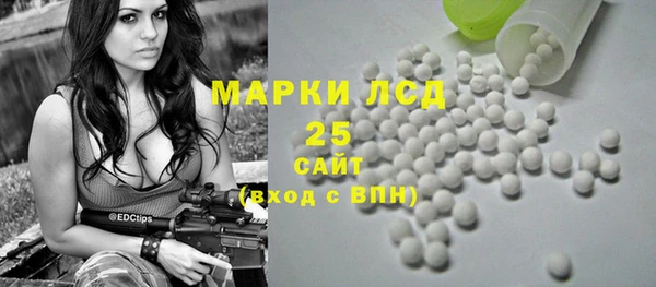шишки Арсеньев