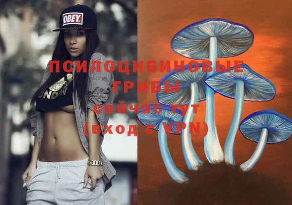 ГАЛЛЮЦИНОГЕННЫЕ ГРИБЫ Балахна