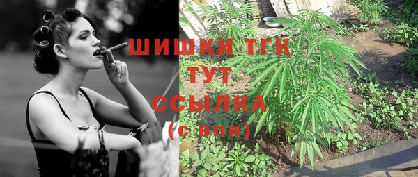 шишки Арсеньев