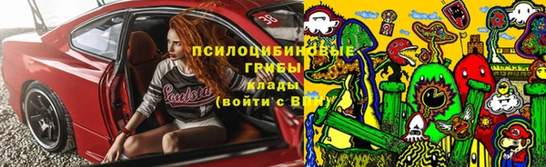 прущая мука Аркадак