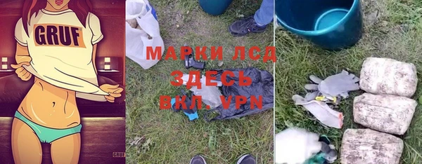шишки Арсеньев