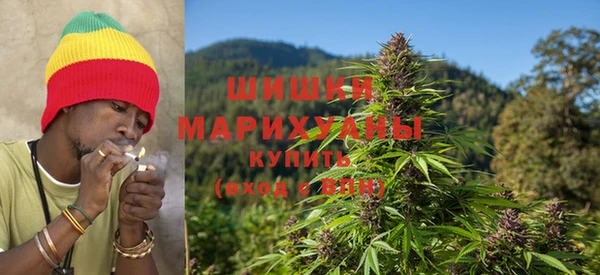 шишки Арсеньев