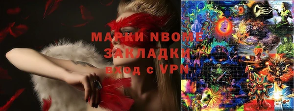 шишки Арсеньев