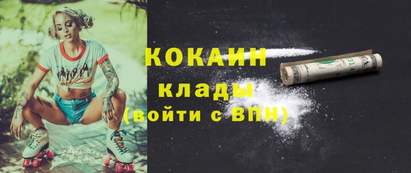шишки Арсеньев