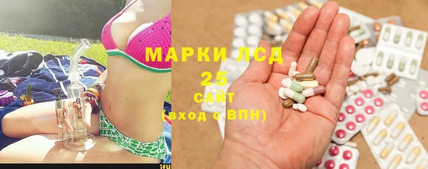 шишки Арсеньев